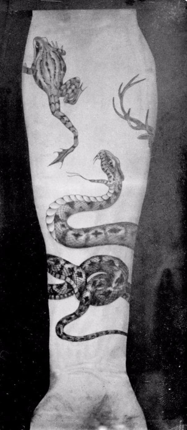 Tatuaje de animales de Sutherland Macdonald