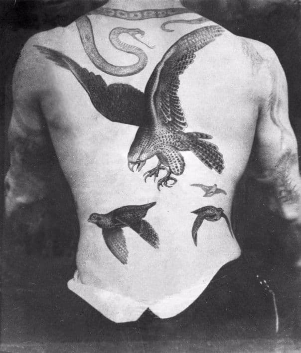 Tatuaje de pájaros en la espalda