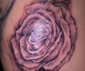 Tattoo of AGUS23F