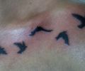 Tattoo of profetatattoo