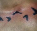 Tattoo of profetatattoo