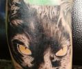 Tattoo of peludotattoo