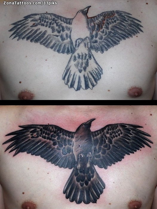 Tattoo of Cover Up Humming bird Animals