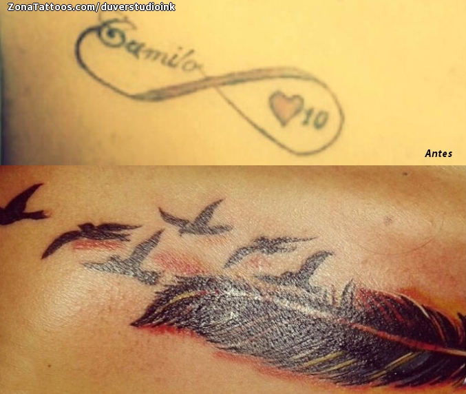 The Art Ink Tattoo Studio  Cover up tattoo phoenix bird Artist   ketantattooist phoenix coveruptattoo necktattoo tatt  tattooinahmedabad tattoobyketanpatel tattooartistmagazine tattooart  blackandgreytattoo bishoprotary kwadronneedles 