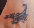 Tattoo of monstruopelusa