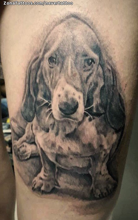 Dog portrait tattoo by Remis Tattoo  Tattoos