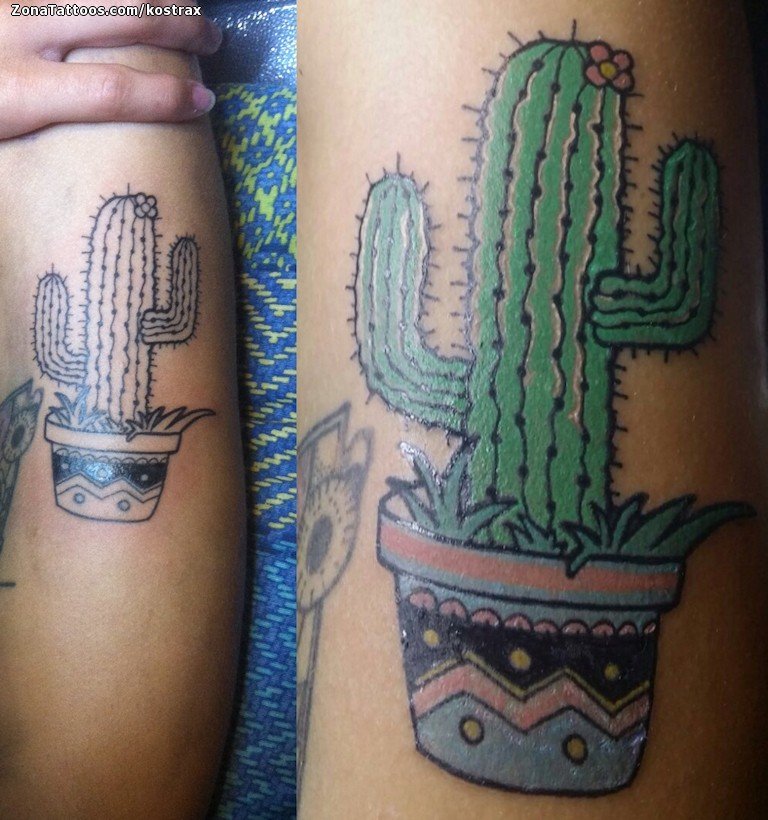 Cactus Tattoo 50 Most Beautiful Tattoo Ideas Of This Cool Plant