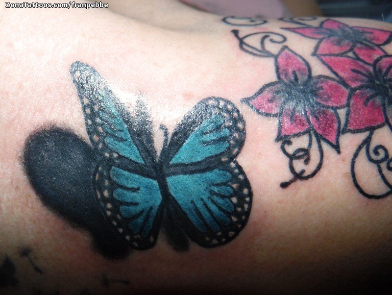 Musical Blue Butterfly Tattoo  FMagcom