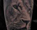 Tattoo of ANTpArt