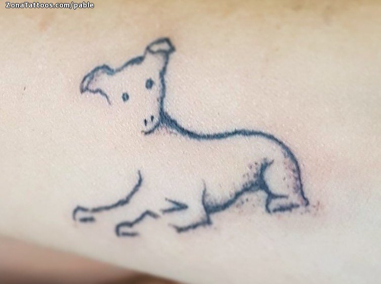 Tattoo of my dog done by Mandi Johnson at Strawbridge Tattoo in Virginia  Beach VA  rtattoos