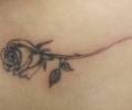 Tattoo of Dragontattoo