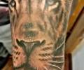 Tattoo of Enrique_ferrer_