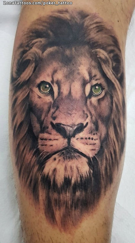 Tatuaje de Leones, Brazo, Animales