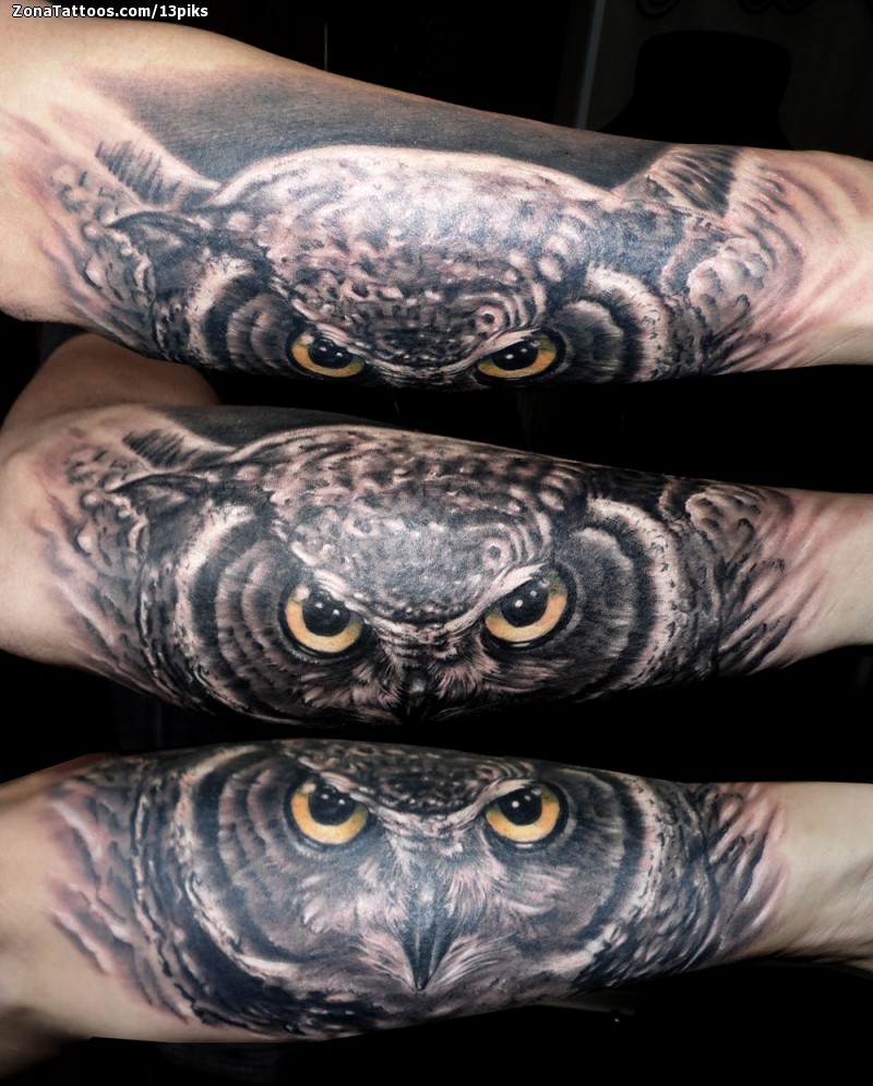 Tatuaje de Búhos, Antebrazo, Animales