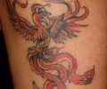 Tattoo of chinoimt