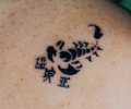 Tattoo of cibertatto