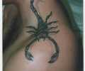 Tattoo of cibertatto