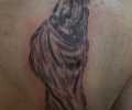 Tatuaje de pumbazgz