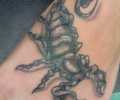 Tattoo of cibertatto