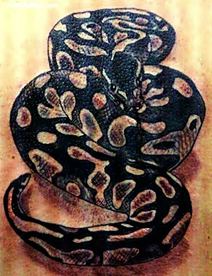 Top 105 Best Snake Tattoo Ideas in 2021