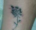 Tatuaje de murcy