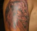 Tattoo of cucho