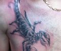 Tattoo of Helltattoo