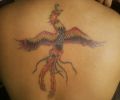 Tattoo of oeste