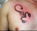 Tattoo of fenixtato