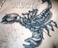 Tattoo of inkatattoo