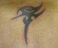 Tattoo of asaavedra