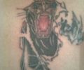 Tatuaje de andresdtigre