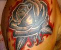 Tattoo of kapy