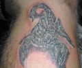 Tattoo of antoniot2