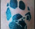 Tattoo of siberian