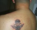 Tattoo of and3