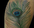 Tattoo of nautilustat