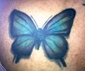 Tattoo of pery