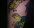 Tattoo of Predicador