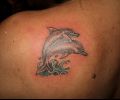 Tattoo of cacu