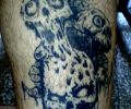 Tattoo of PPO