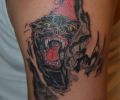 Tattoo of throner40