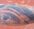 Tattoo of serra320d