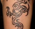 Tattoo of cacu