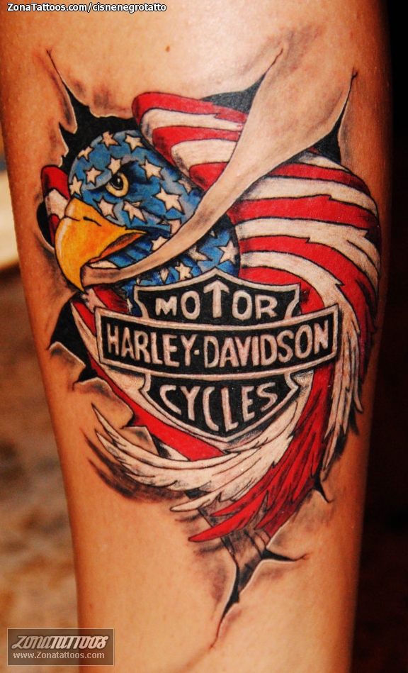 101 Best Harley Davidson Tattoo Ideas You Have To See To Believe  Outsons