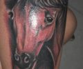 Tattoo of joseperozo