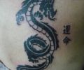 Tattoo of PPO