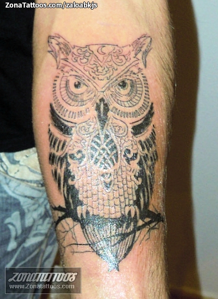 Owl tattoo on my thigh  rtattoo