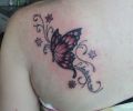 Tattoo of NikoTatuajes