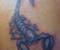 Tattoo of militus